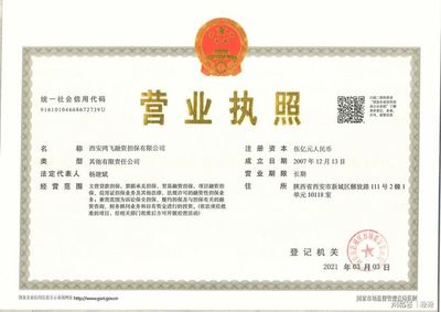西安鴻飛融資擔保 以專業服務賦能，鴻飛擔保正式接入個人征信系統