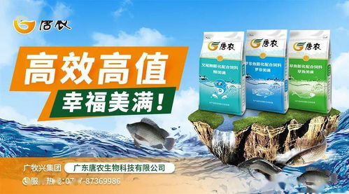 豆粕玉米持續聯動上漲，飼料廠壓力大增 江門、佛山、茂名、海南水產料全線上漲，防腐劑也未能幸免
